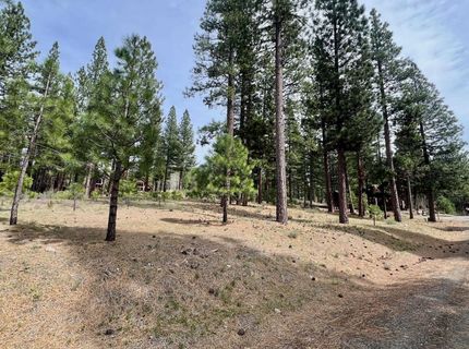 153 Saddle Ridge Road, Clio, CA 96106 Photo