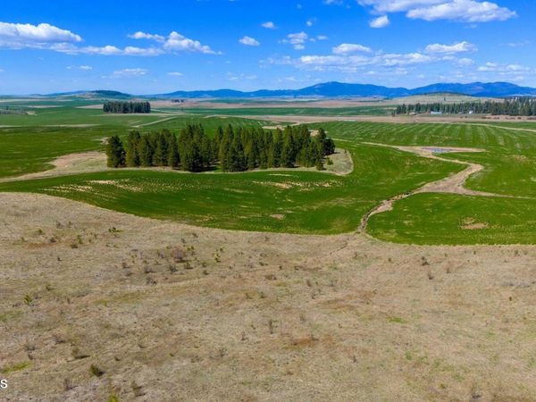 Lot 5 Lone Moose Dr, Plummer, ID 83851