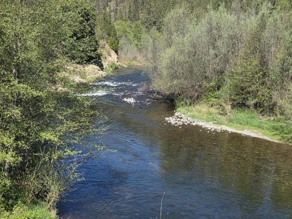 2880 Fish Hatchery Road, Grants Pass, OR 97527