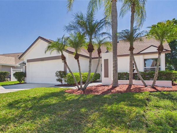 8609 BOYSENBERRY DRIVE , TAMPA, FL 33635