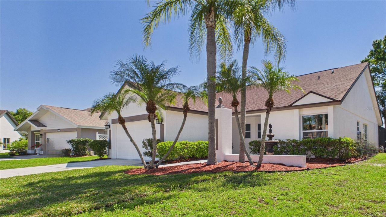 8609 Boysenberry Drive, Tampa, FL 33635 Photo
