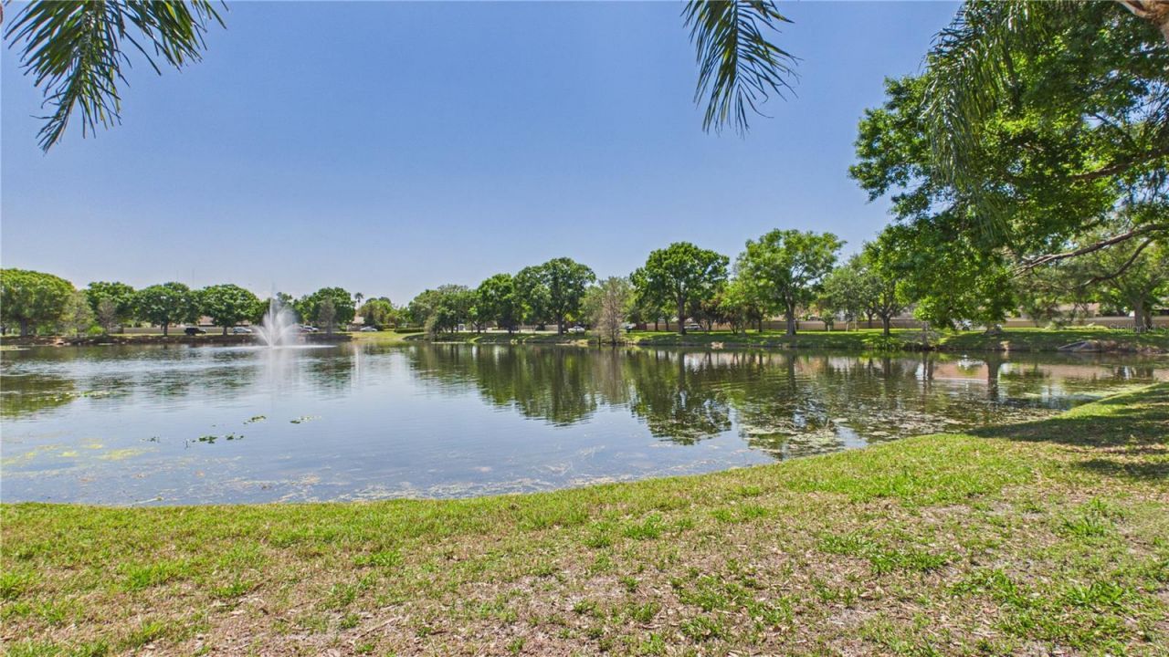 8609 Boysenberry Drive, Tampa, FL 33635 Photo