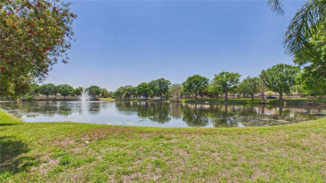 8609 Boysenberry Drive, Tampa, FL 33635 Photo