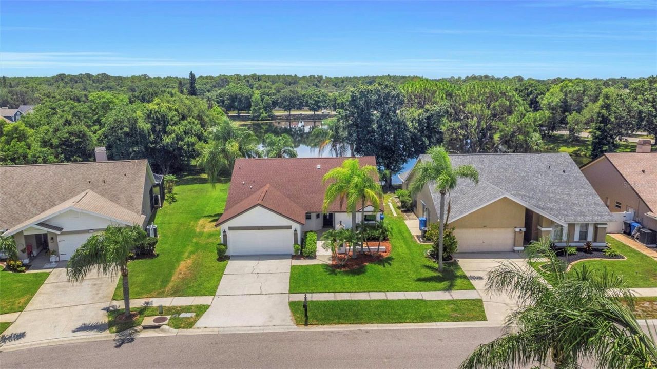 8609 Boysenberry Drive, Tampa, FL 33635 Photo