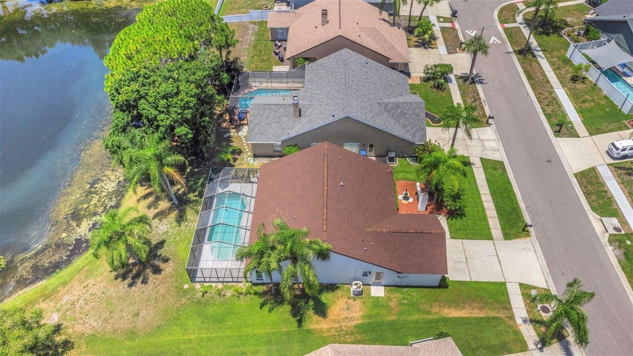 8609 Boysenberry Drive, Tampa, FL 33635 Photo