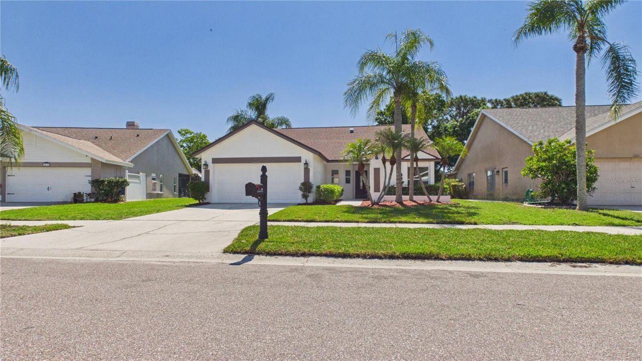 8609 Boysenberry Drive, Tampa, FL 33635 Photo
