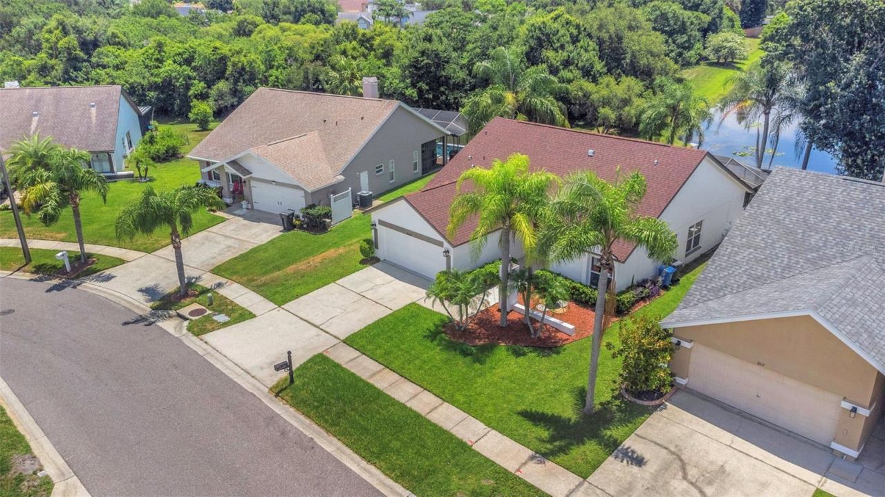 8609 Boysenberry Drive, Tampa, FL 33635 Photo