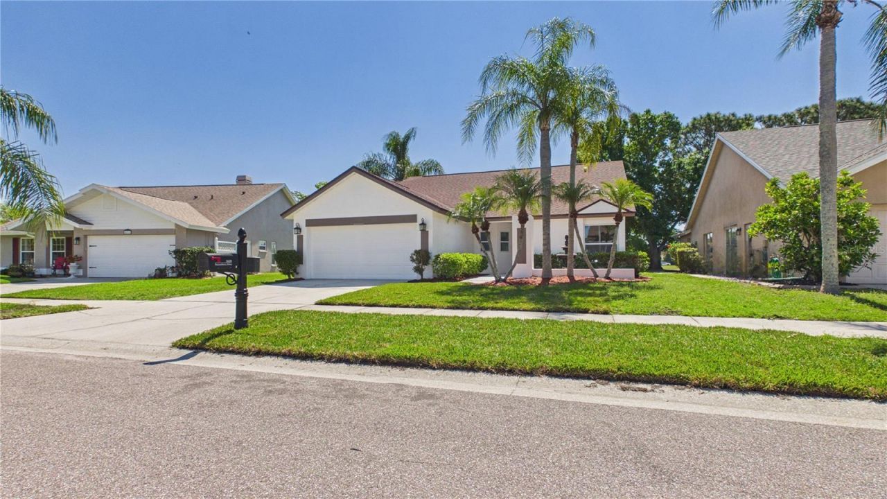 8609 Boysenberry Drive, Tampa, FL 33635 Photo