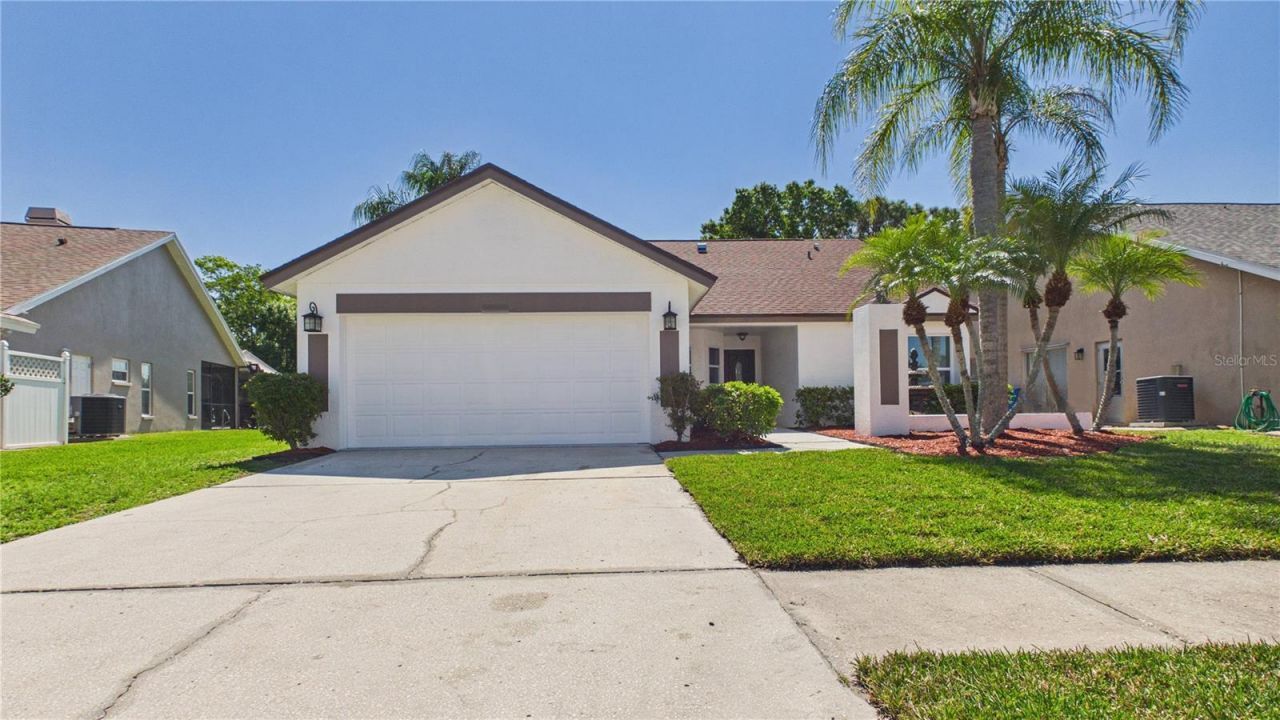 8609 Boysenberry Drive, Tampa, FL 33635 Photo