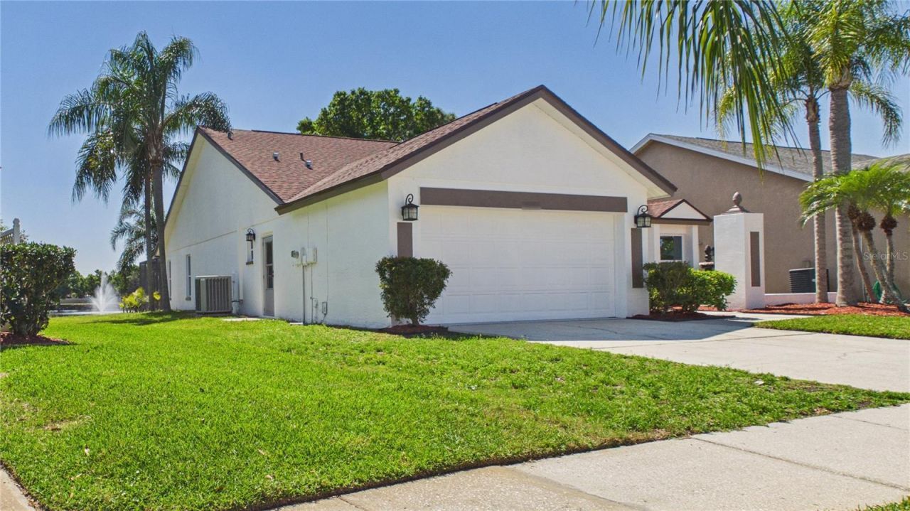 8609 Boysenberry Drive, Tampa, FL 33635 Photo