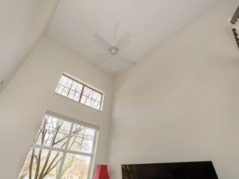 704 Park Street, Columbus, OH 43215 Photo 6