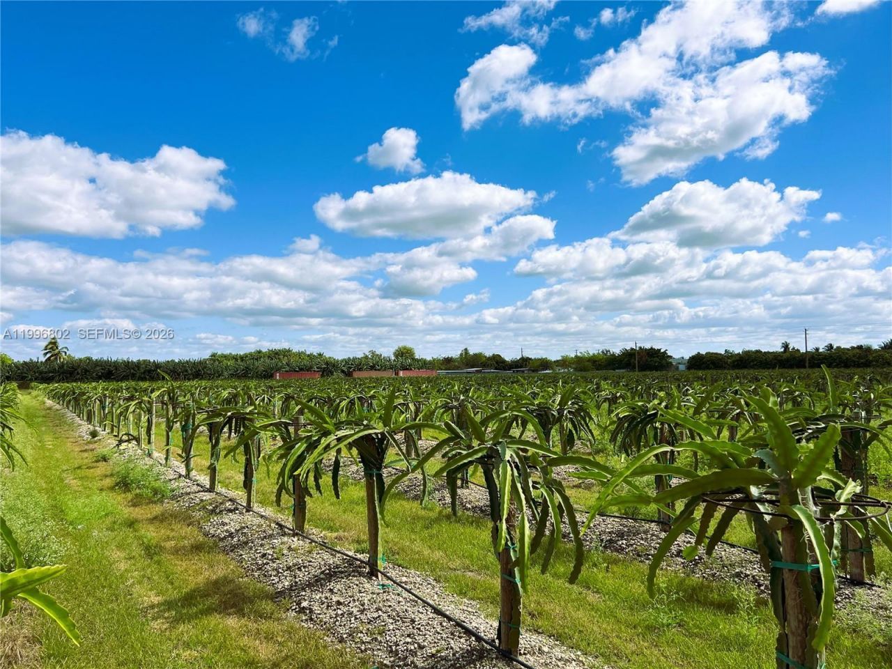 152xx SW 197th Ave , Miami, FL 33196 Photo