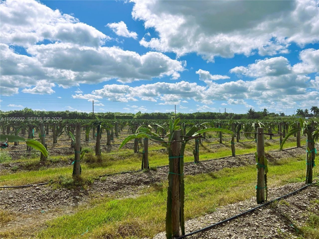 152xx SW 197th Ave , Miami, FL 33196 Photo