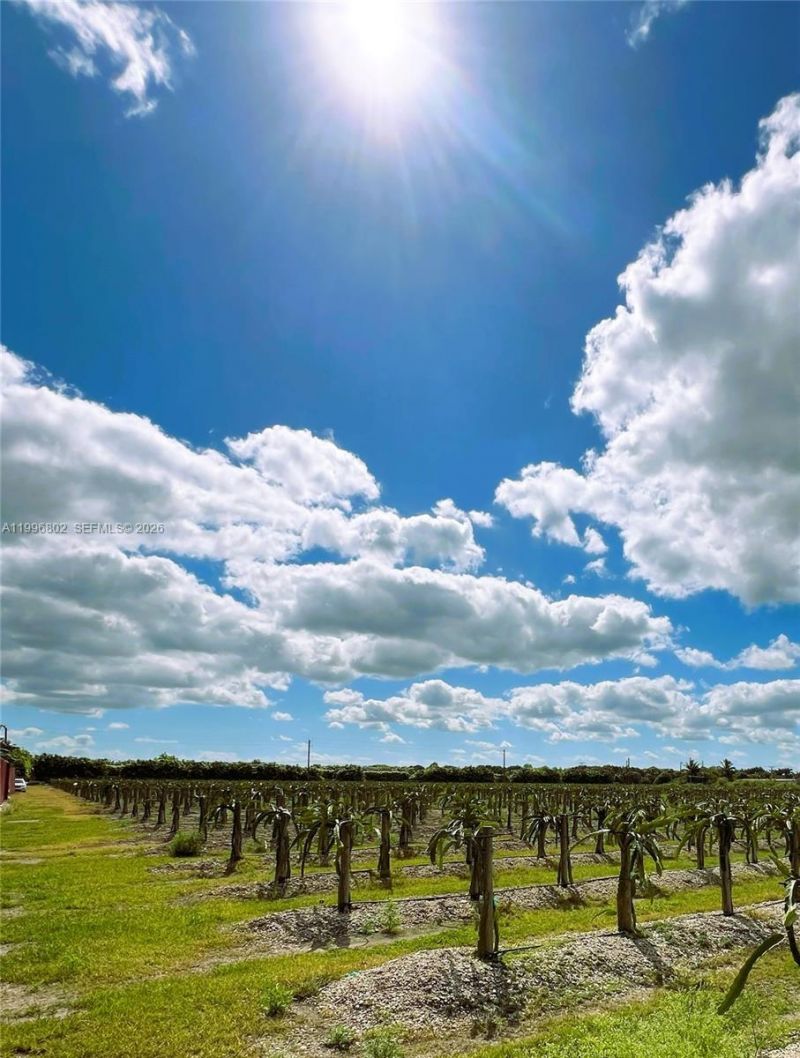 152xx SW 197th Ave , Miami, FL 33196 Photo