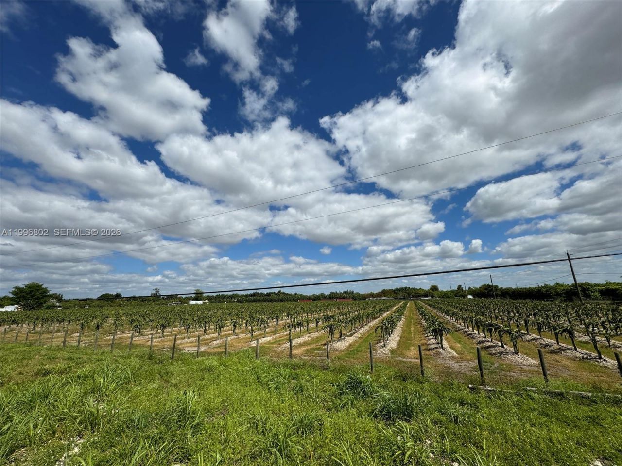 152xx SW 197th Ave , Miami, FL 33196 Photo