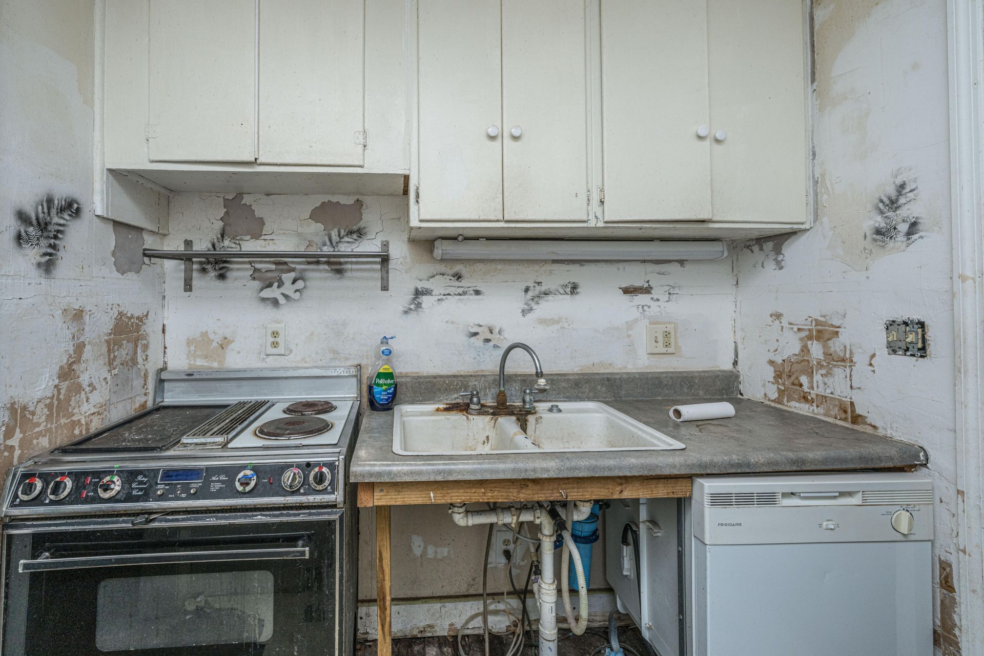 51 Colleton Drive Photo 19