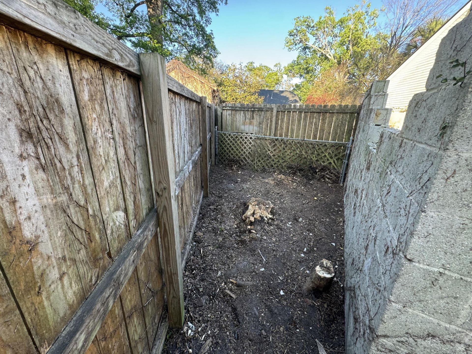 51 Colleton Drive Photo 23