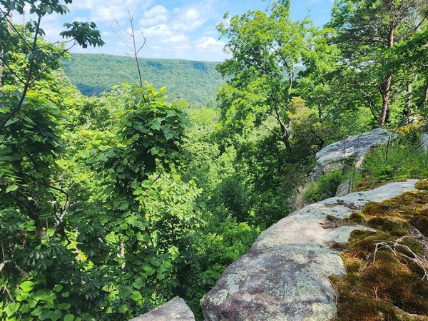 0 Roth Point Road, Altamont, TN 37301