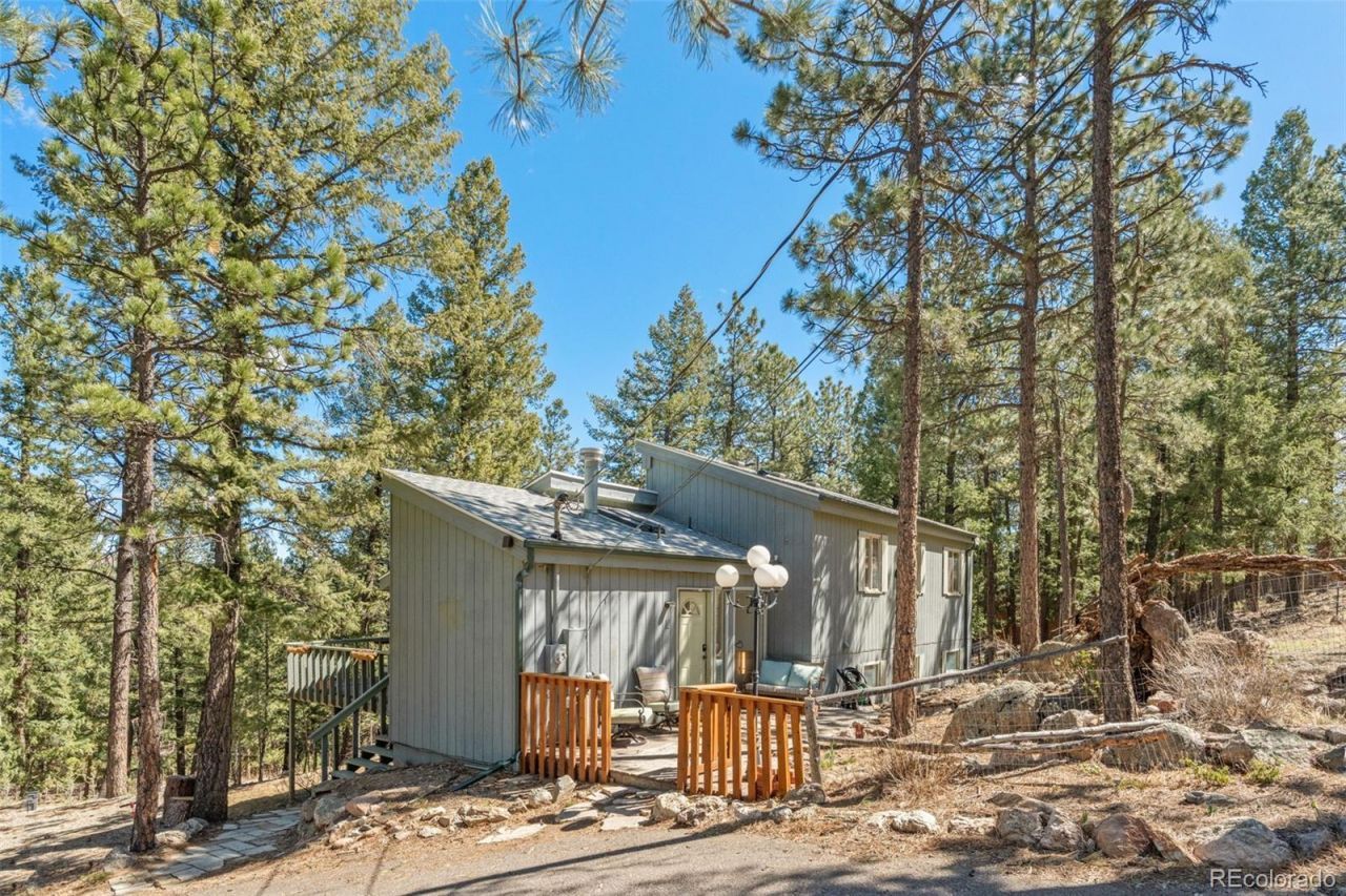 20 Long Ridge Drive, Bailey, CO 80421 Main Photo