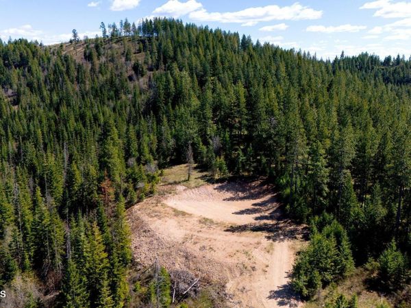 Lot 10 Moose Dr, Plummer, ID 83851