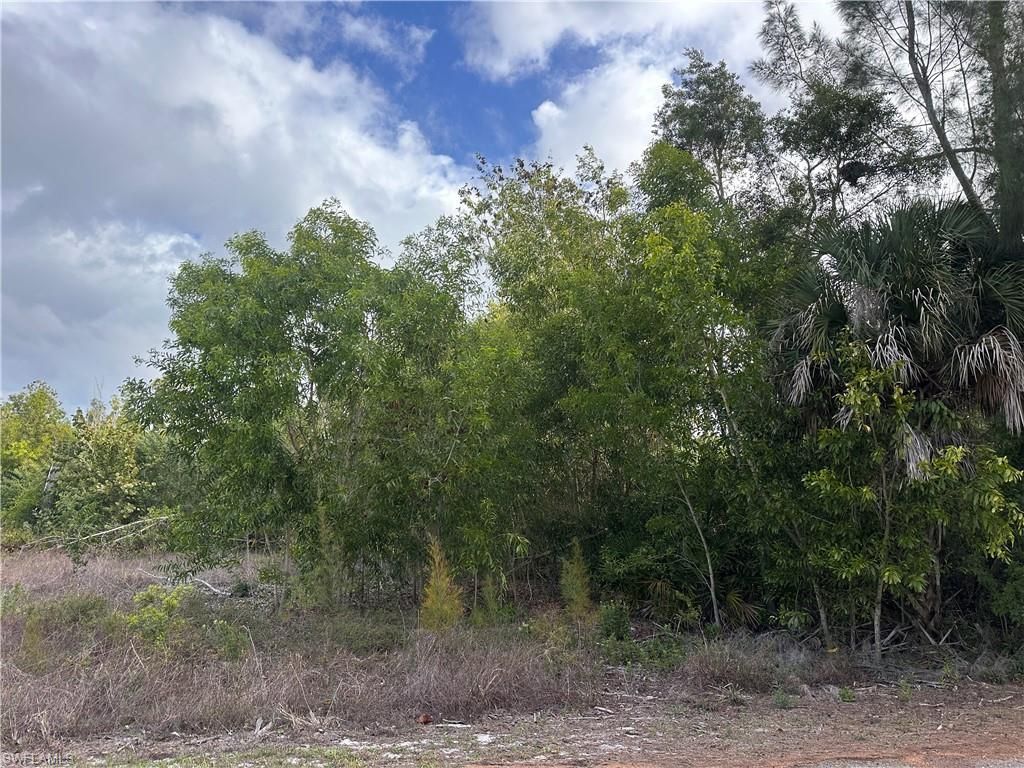 7342 Sundiet Blvd, Bokeelia, FL 33922 Photo