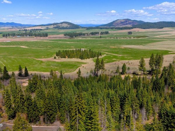 Lot 11 Lone Moose Dr, Plummer, ID 83851