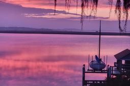 173 Stono Drive photo 4