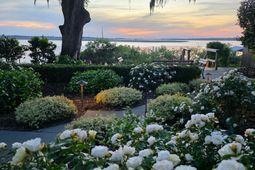 173 Stono Drive photo 4