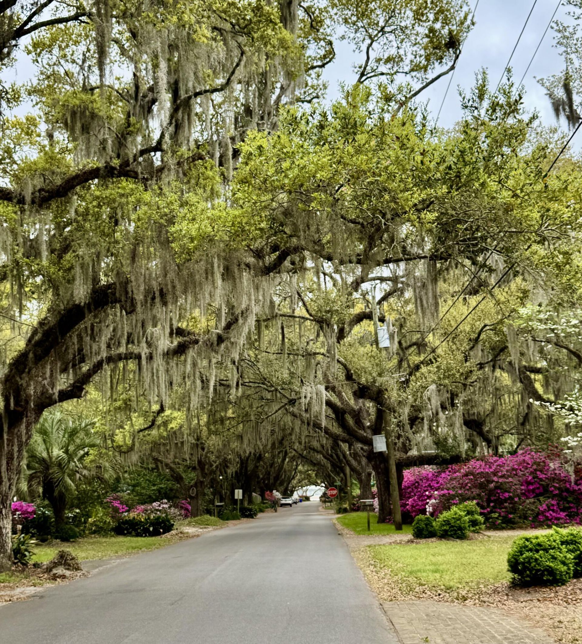 173 Stono Drive Photo 66