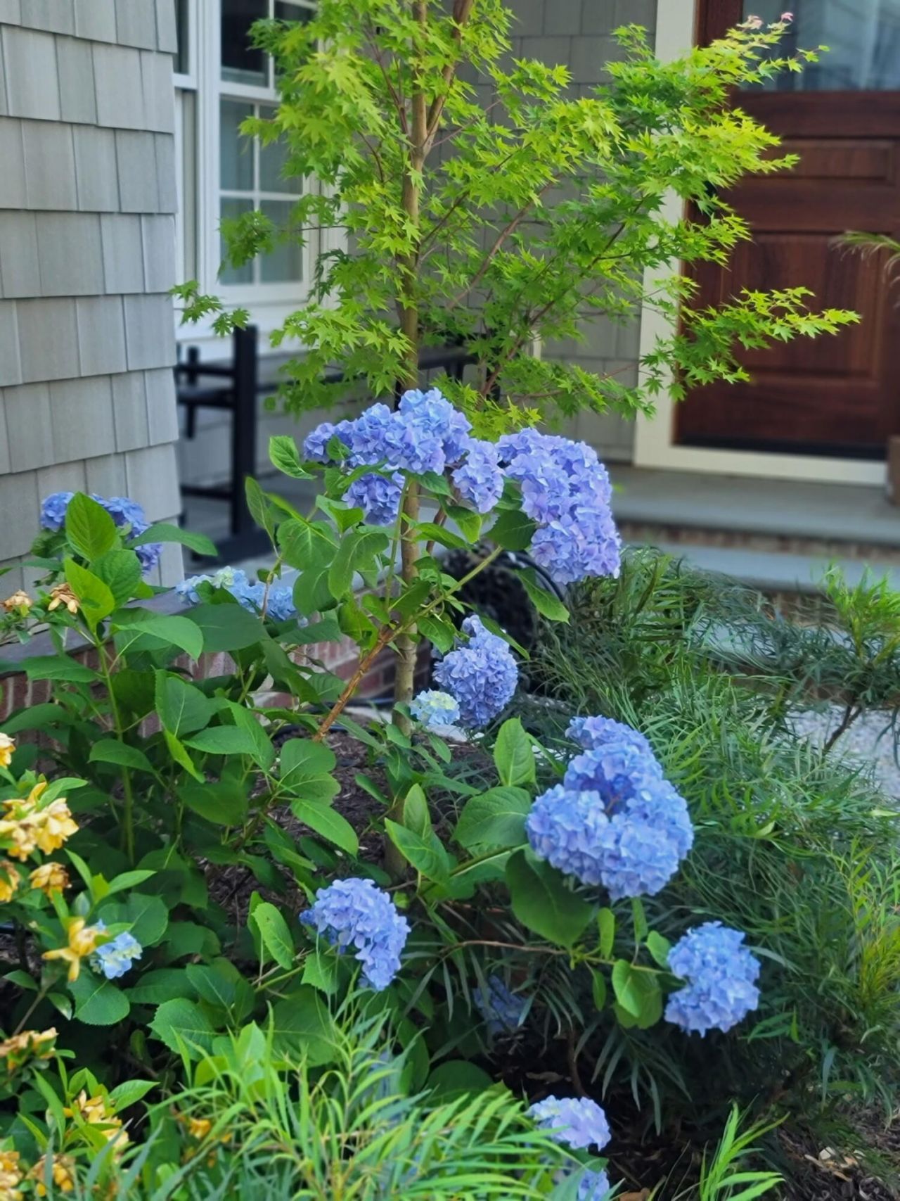 173 Stono Drive Photo 80