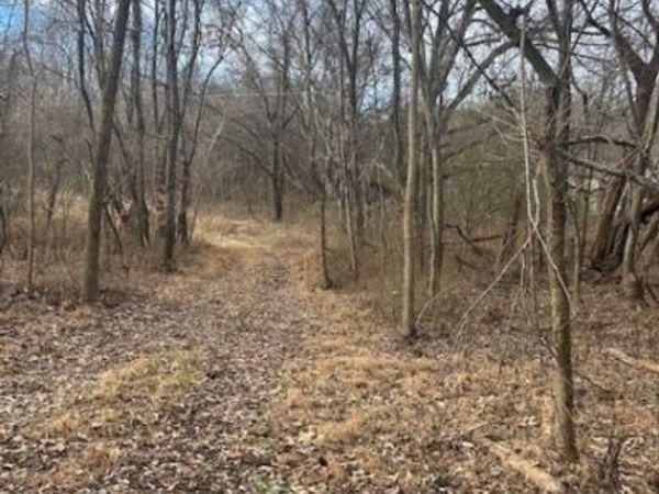 0 Mayo Rd , Adams, TN 37010