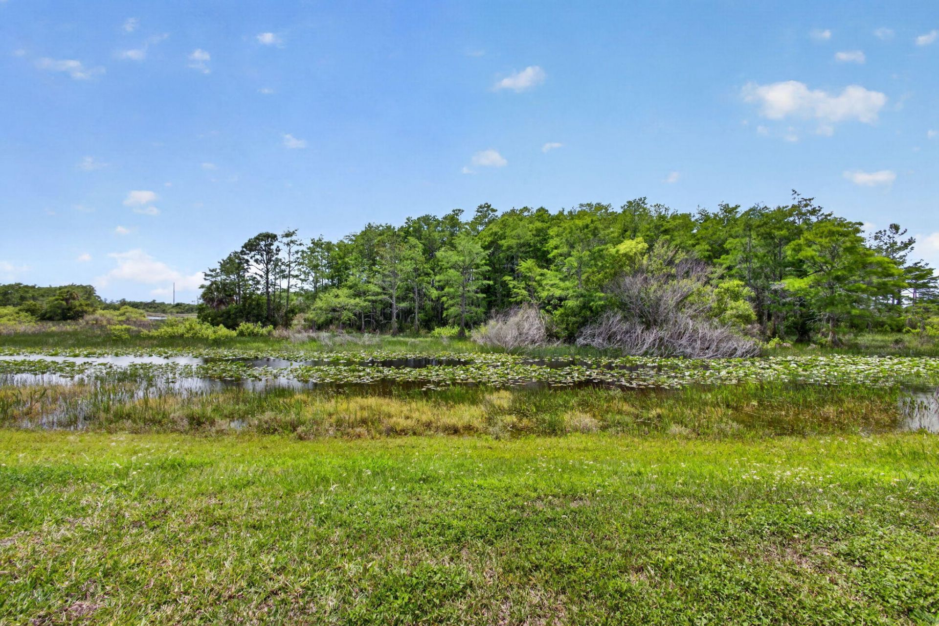 602 Sabal Palm Lane, Palm Beach Gardens, FL 33418 Photo