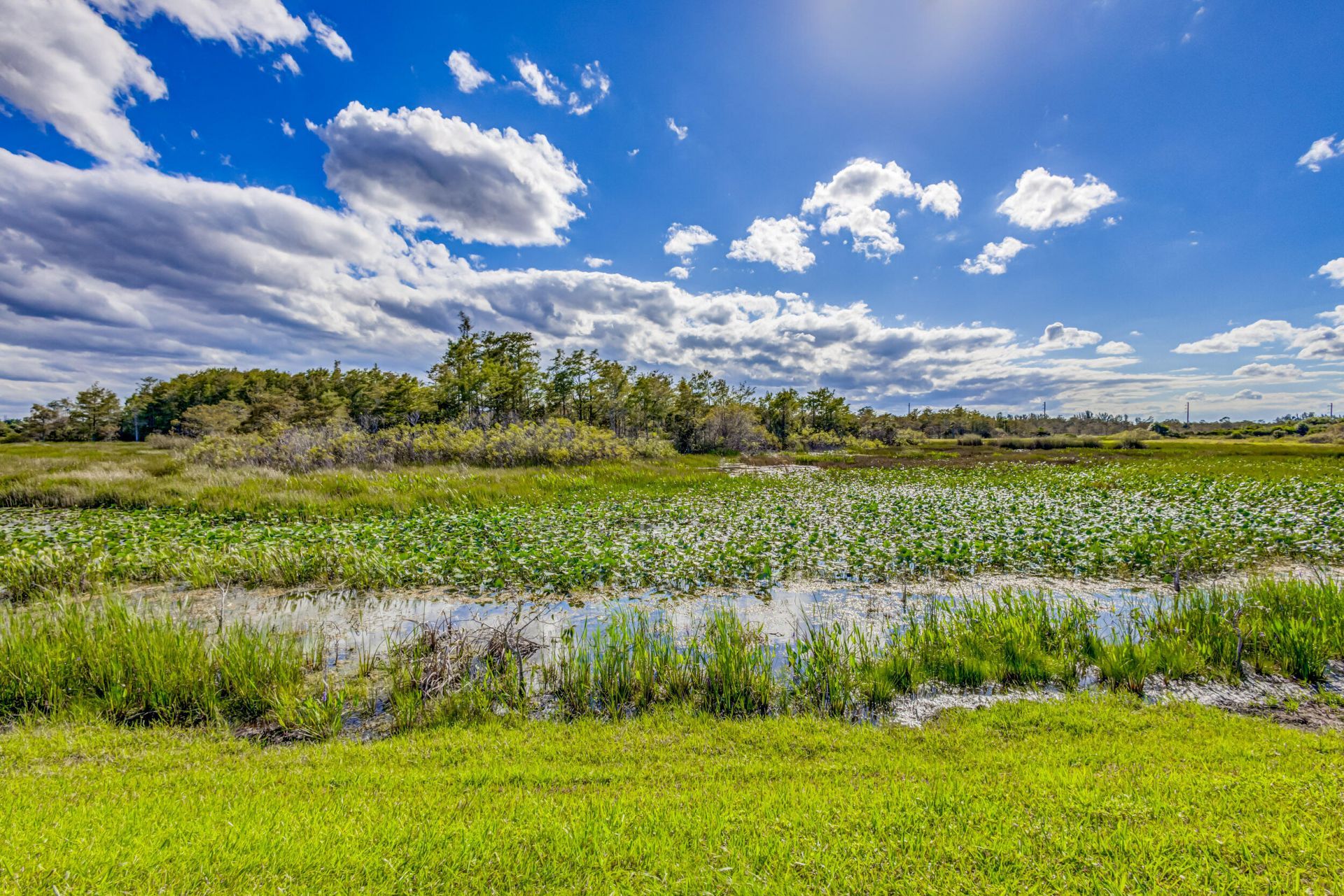 602 Sabal Palm Lane, Palm Beach Gardens, FL 33418 Photo