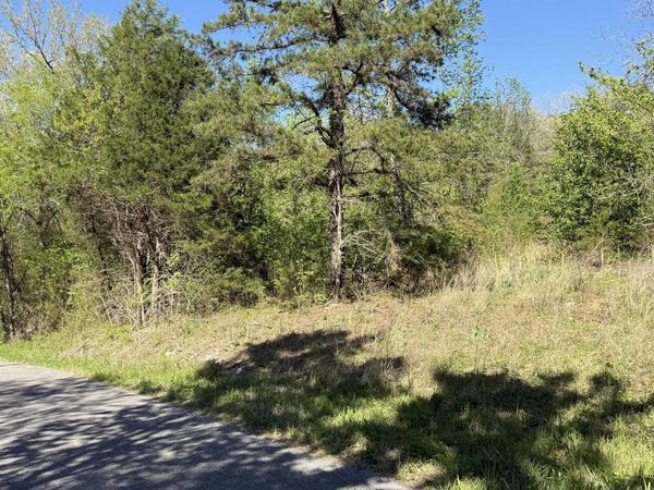 0000 Cool Water Retreat, Mountain View, AR 72560