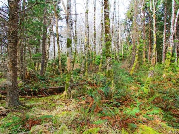 555 Chinukundl Rd, See Remarks, BC V0T 1S0