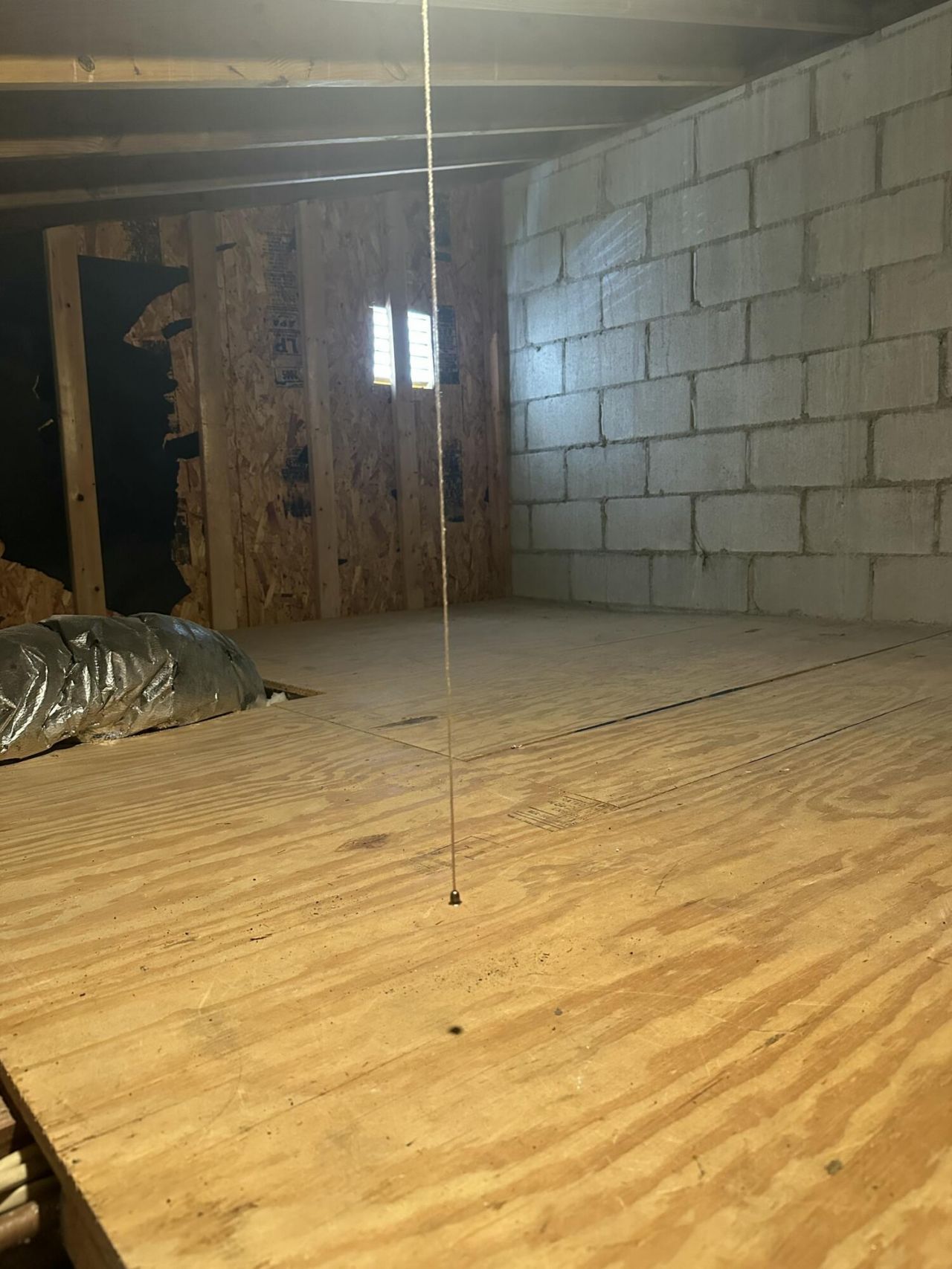 306 Ventura Place Photo 39