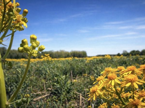 0 Valley Rd , Lawrenceburg, TN 38464