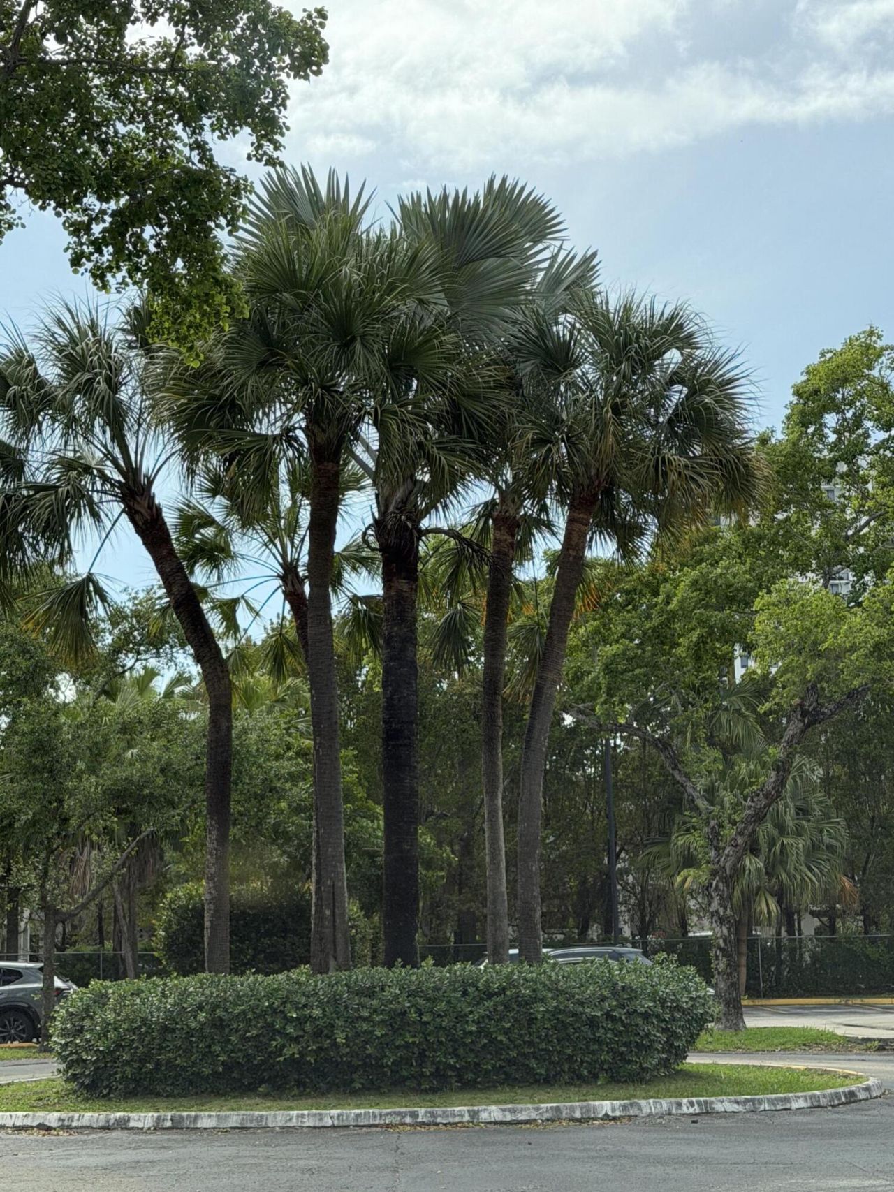8343 Lake Drive, Unit 207, Doral, FL 33166 Photo