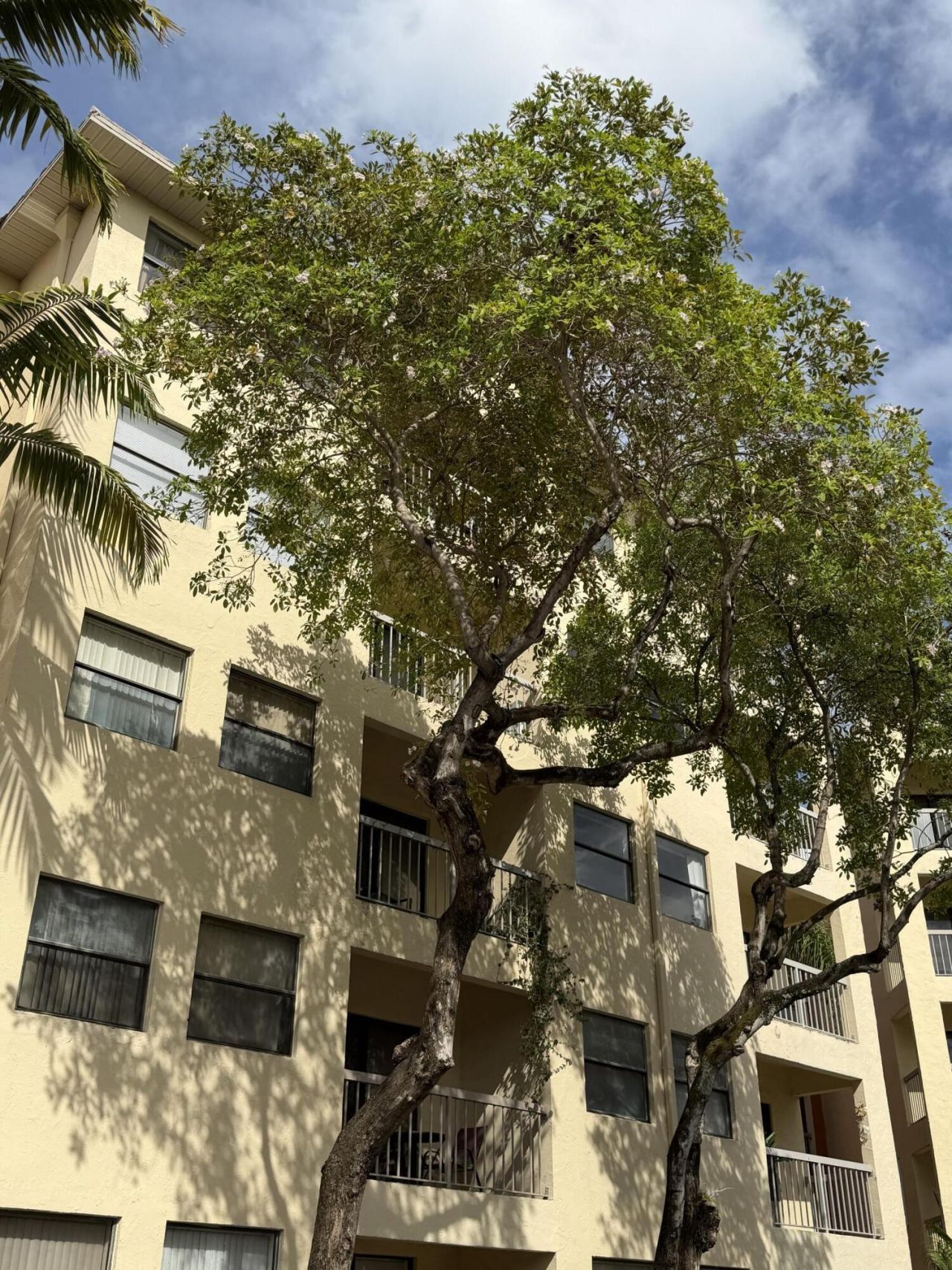 8343 Lake Drive, Unit 207, Doral, FL 33166 Photo