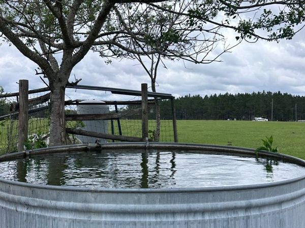 TBD SW MORNING STAR GLEN, Fort White, FL 32038