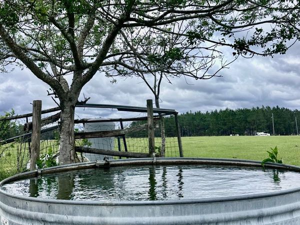 TBD SW MORNING STAR GLEN, Fort White, FL 32038