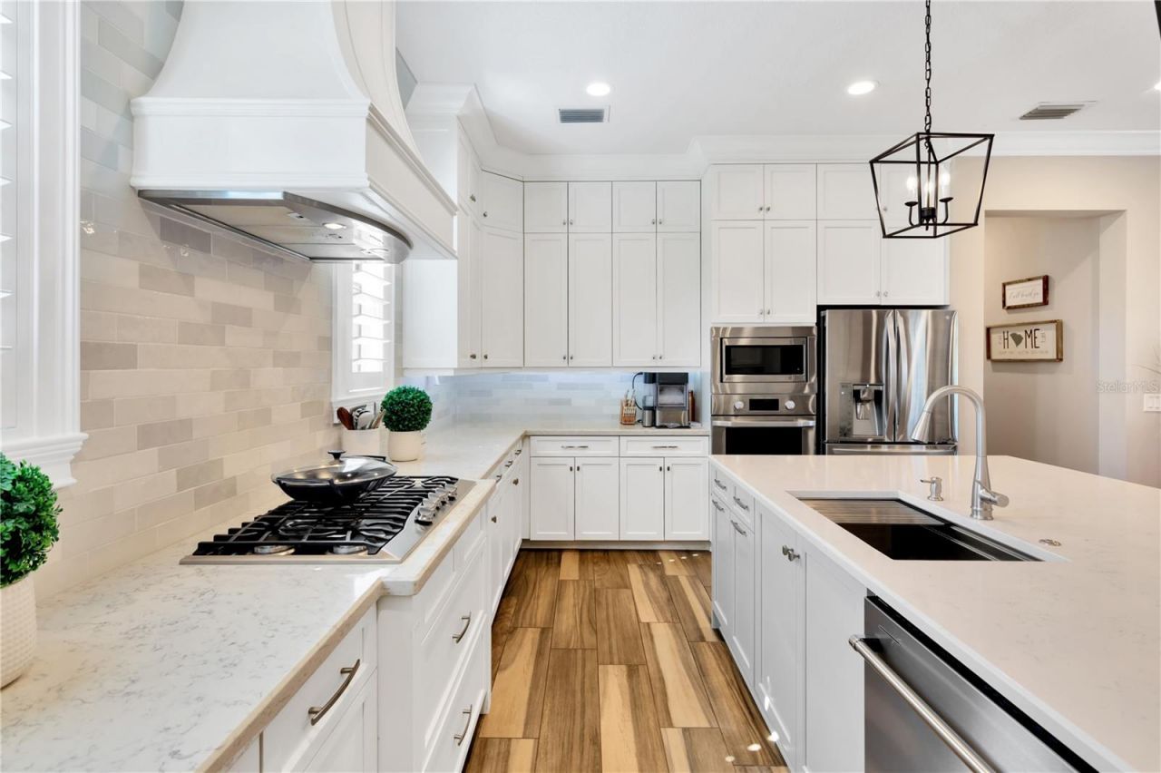 16419 Chapman Crossing Drive, Lithia, FL 33547 Photo