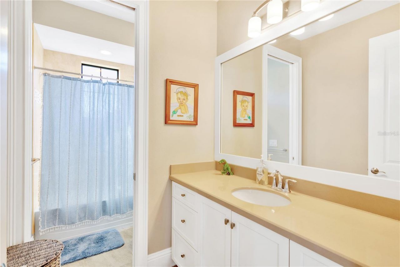 16419 Chapman Crossing Drive, Lithia, FL 33547 Photo