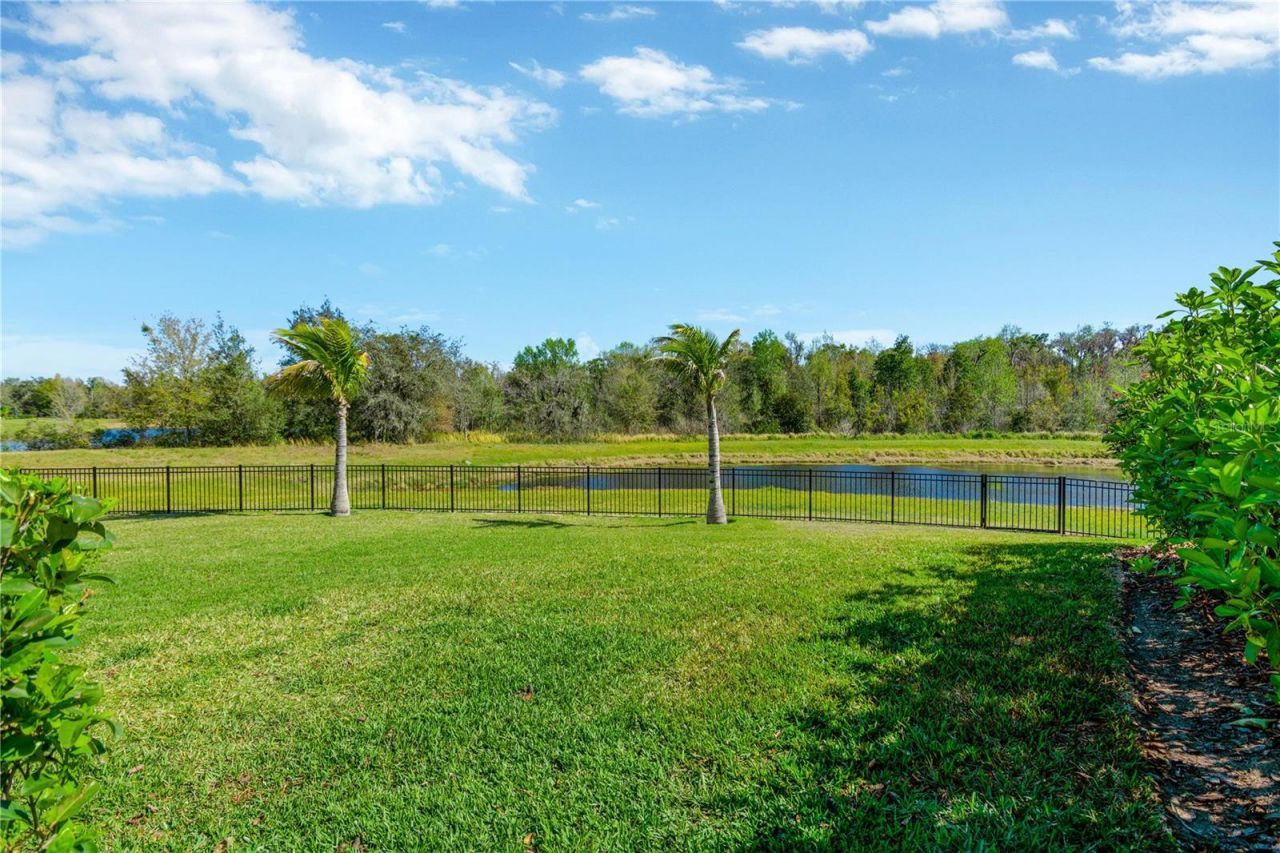 16419 Chapman Crossing Drive, Lithia, FL 33547 Photo