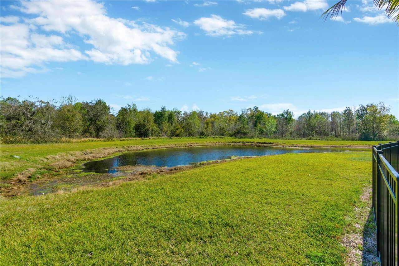 16419 Chapman Crossing Drive, Lithia, FL 33547 Photo