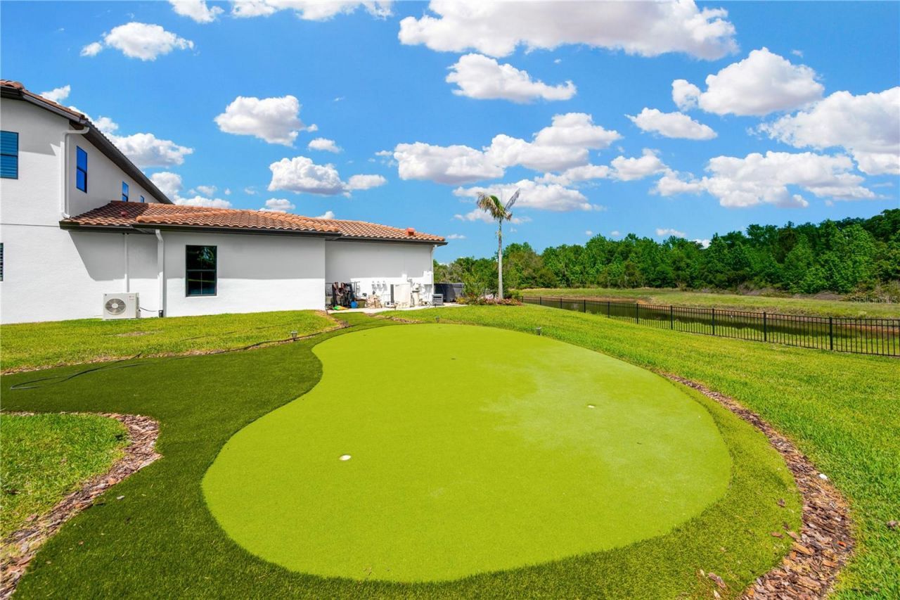 16419 Chapman Crossing Drive, Lithia, FL 33547 Photo