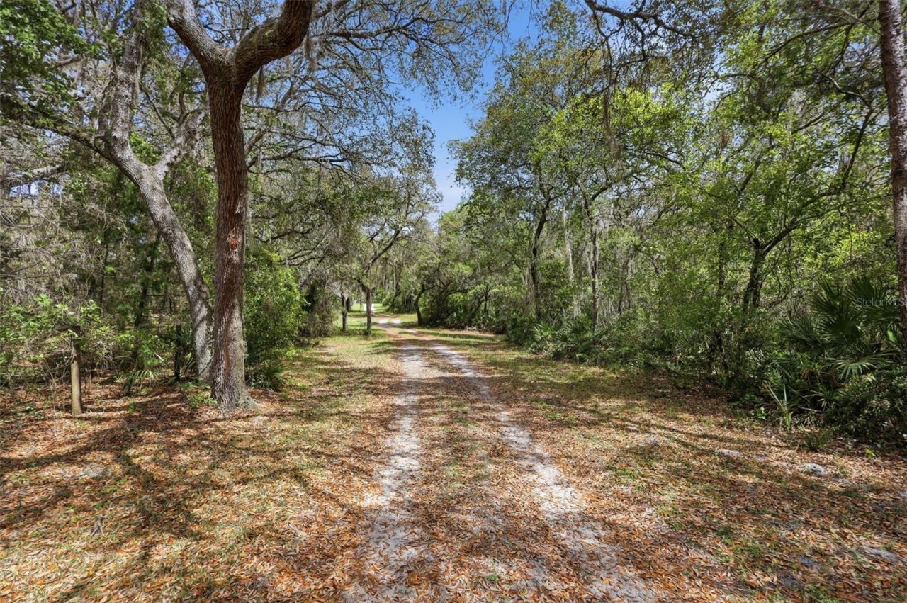 4155 Marsh Road , Deland, FL 32724 Photo