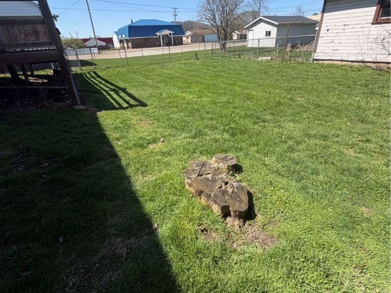 376 E State Street, Newcomerstown, OH 43832 Photo 21