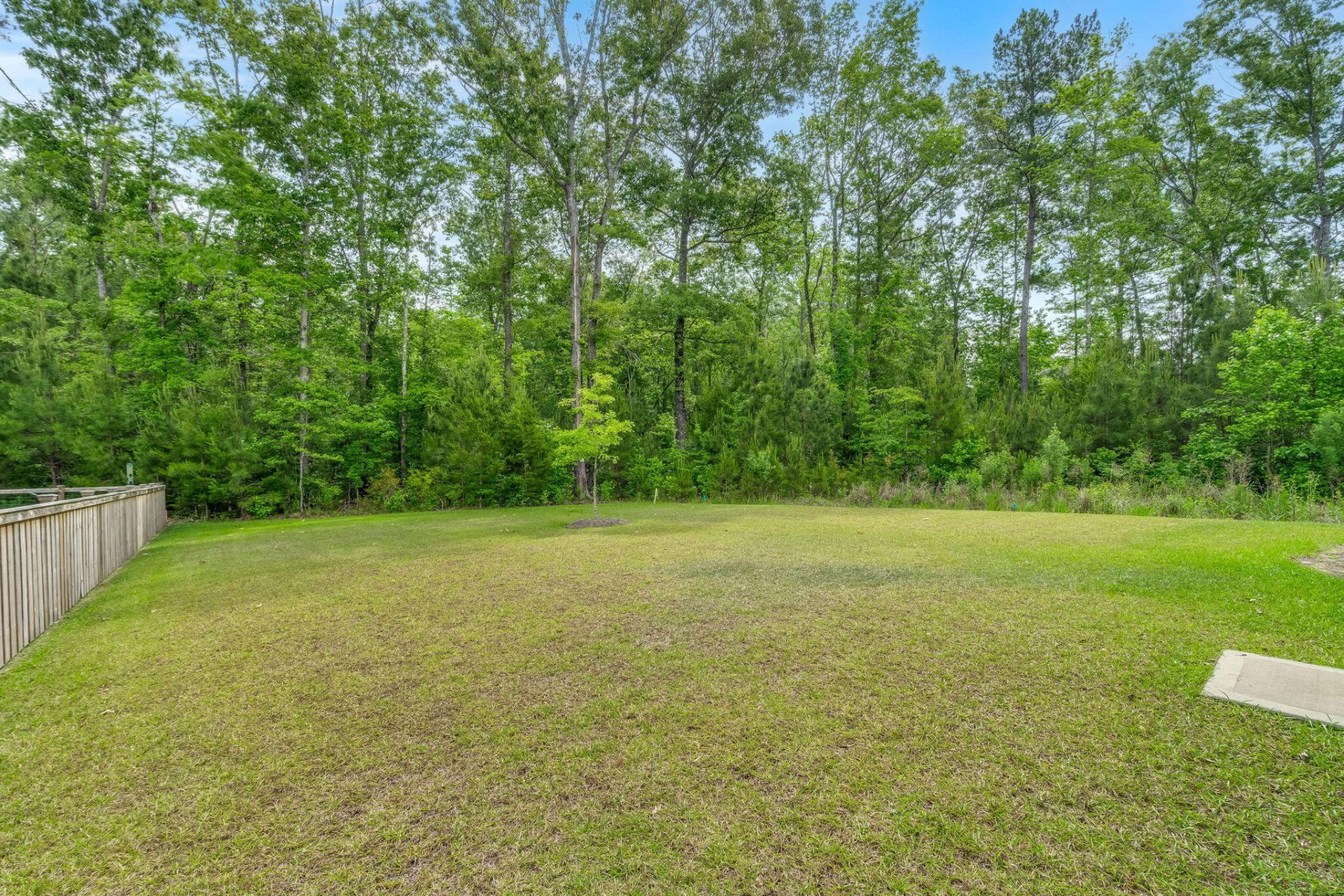 123 Cherry Grove Drive Photo 34