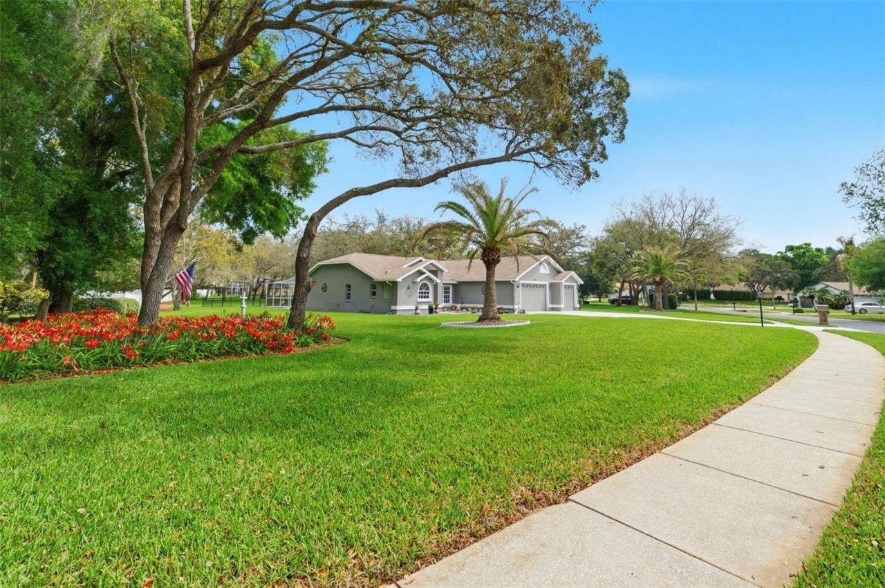 18143 Winding Oaks Boulevard, Hudson, FL 34667 Photo